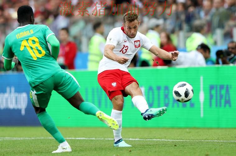 荷兰进攻提速让冲冠希望持续升温