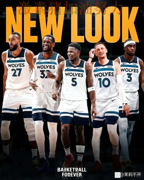 森林狼阵容短板暴露让排名形势更加微妙